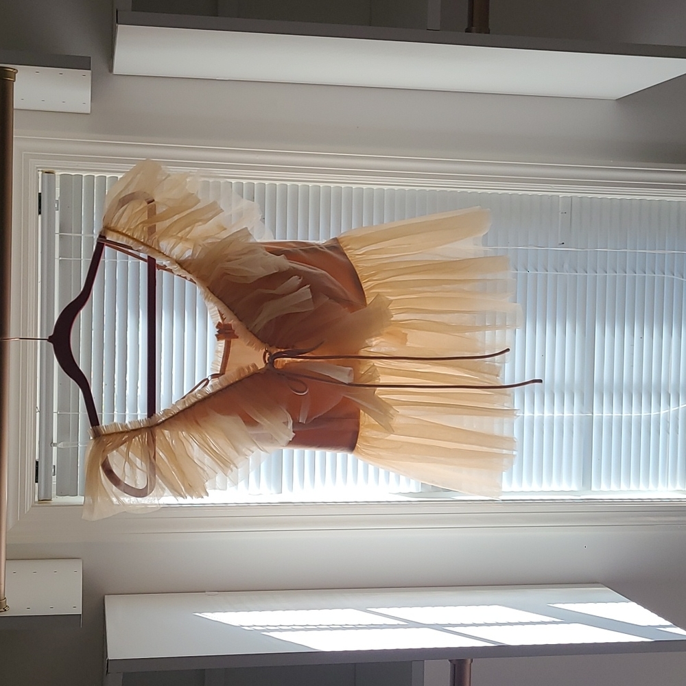 Pink Tulle Top